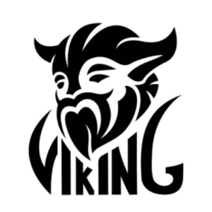 Adesivos para Veículos – Viking Style